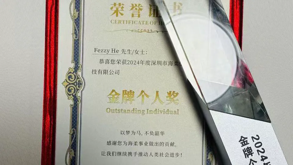 🌟年度金牌个人